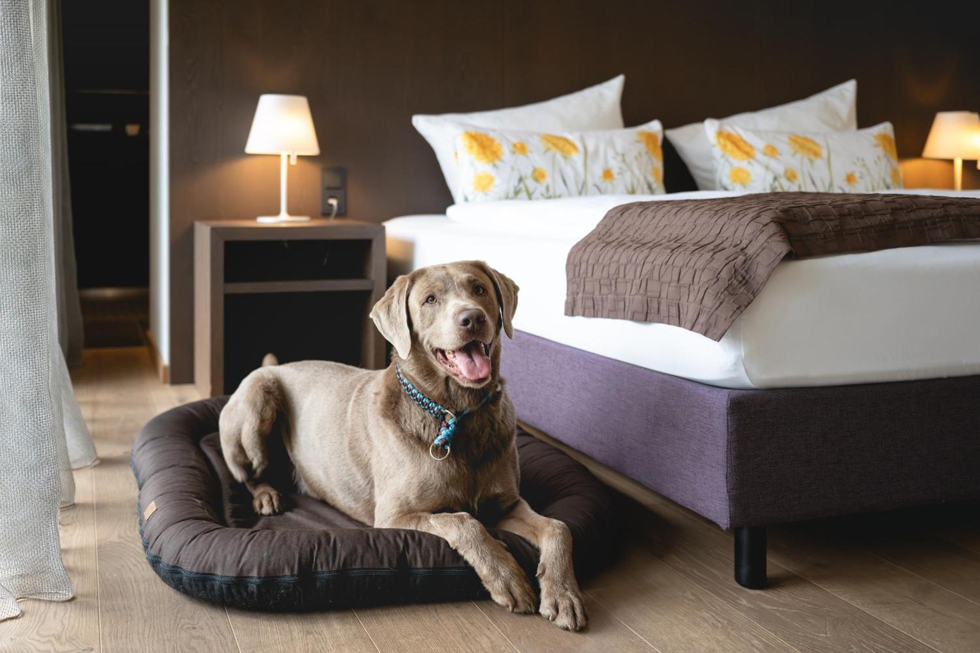 Golfhotel Gut Neuenhof Fröndenberg Eksteriør billede